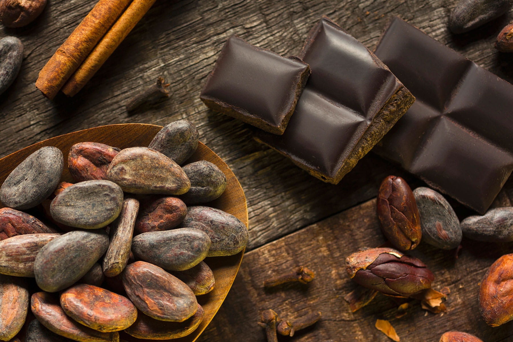 cocoa and chocolate