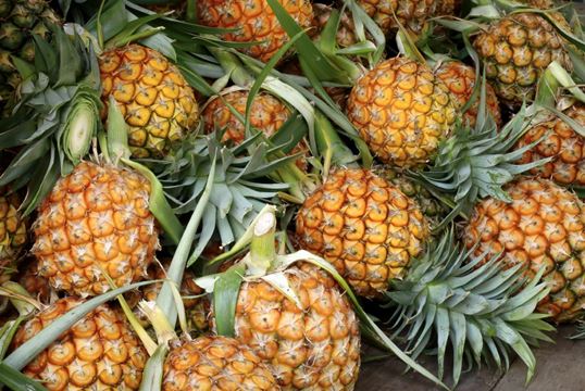 Ananas