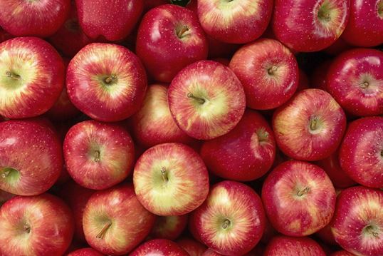 Apples