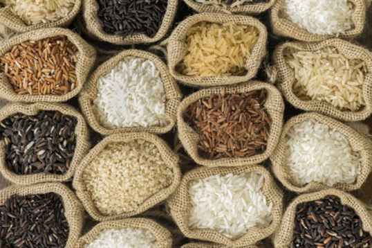Different type of rice