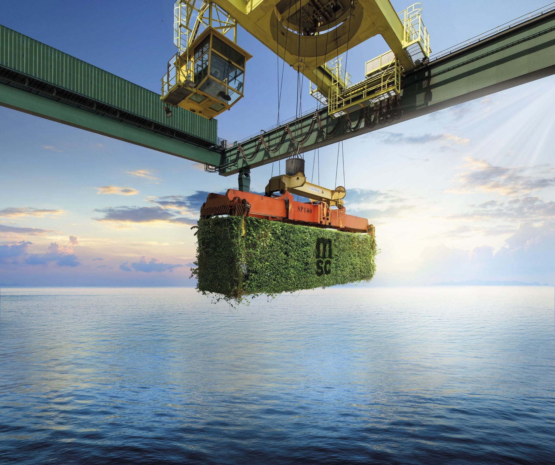 Green container lifted by a crane
